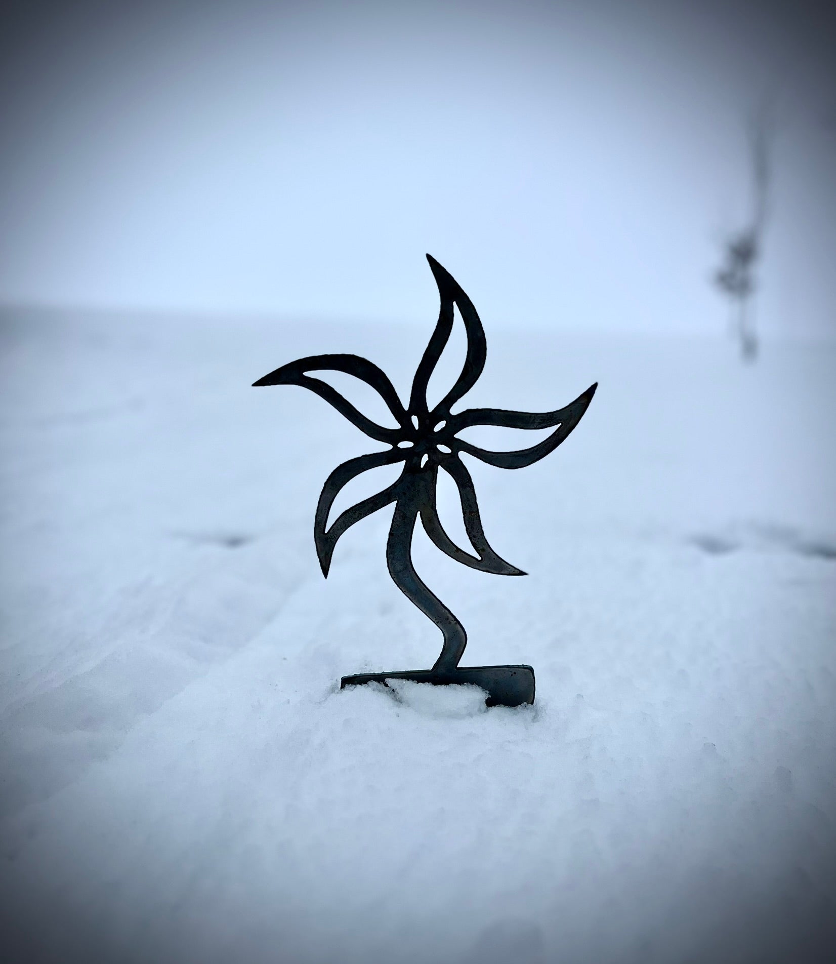 Black metal sculpture of a palm tree on a snowy ground.  Henderson Garden Supply