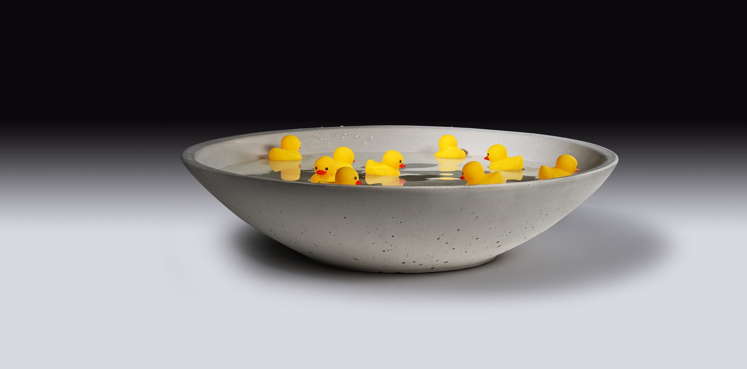 Concrete bowl with yellow objects on a gradient background.  Henderson Garden Supply