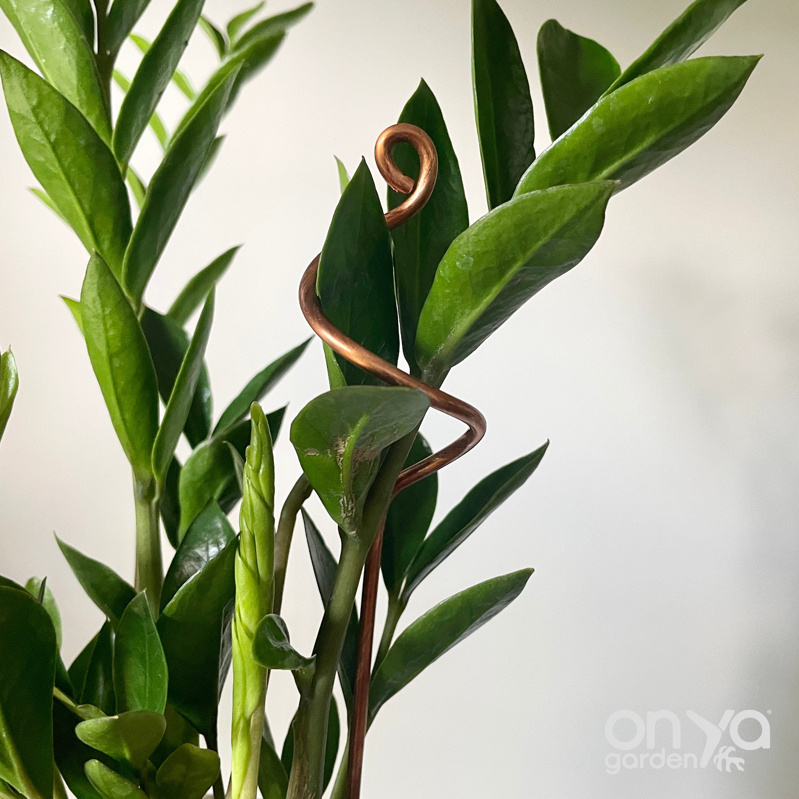 Copper Mini Stem Supports Plant Sticks, Set of 3