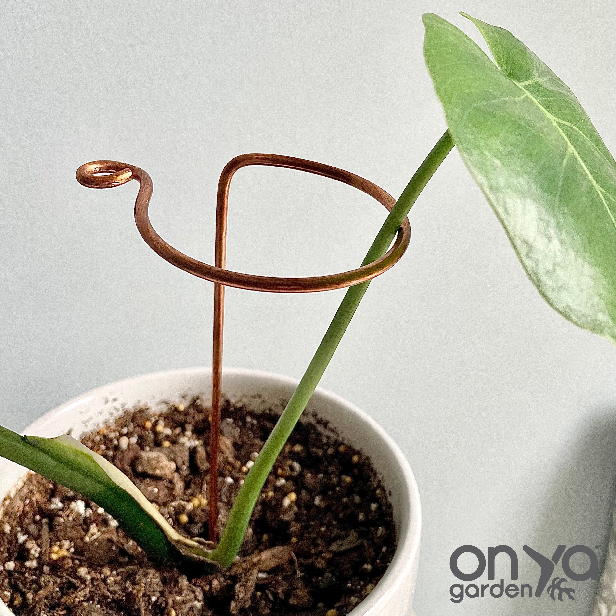 Copper Mini Stem Supports Plant Sticks, Set of 3