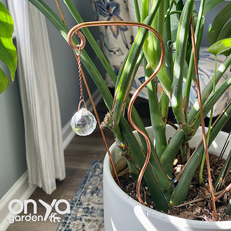 Copper Wander Suncatcher Plant Stick, Plant Suncatcher