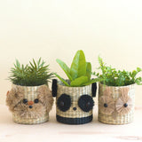 Panda Coco Fiber Planter - Henderson Garden Supply