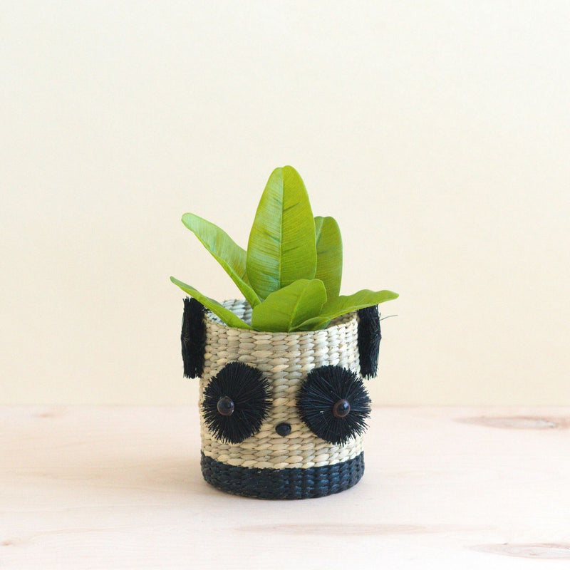 Panda Coco Fiber Planter - Henderson Garden Supply