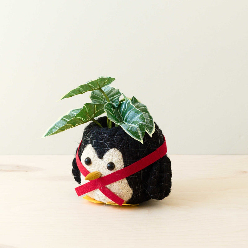 Penguin Coco Fiber Planter - Henderson Garden Supply