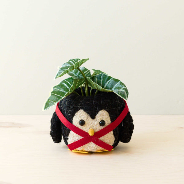 Penguin Coco Fiber Planter - Henderson Garden Supply