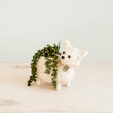 Cat planter gift - Henderson Garden Supply