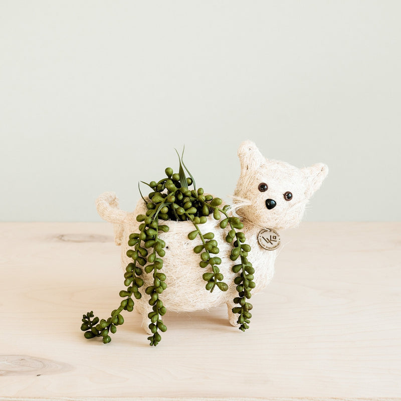 Cat planter gift - Henderson Garden Supply