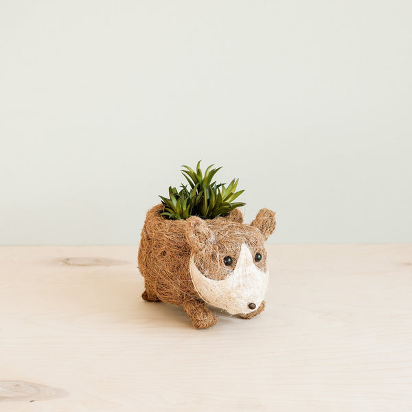 Corgi coco fiber planter - Henderson Garden Supply