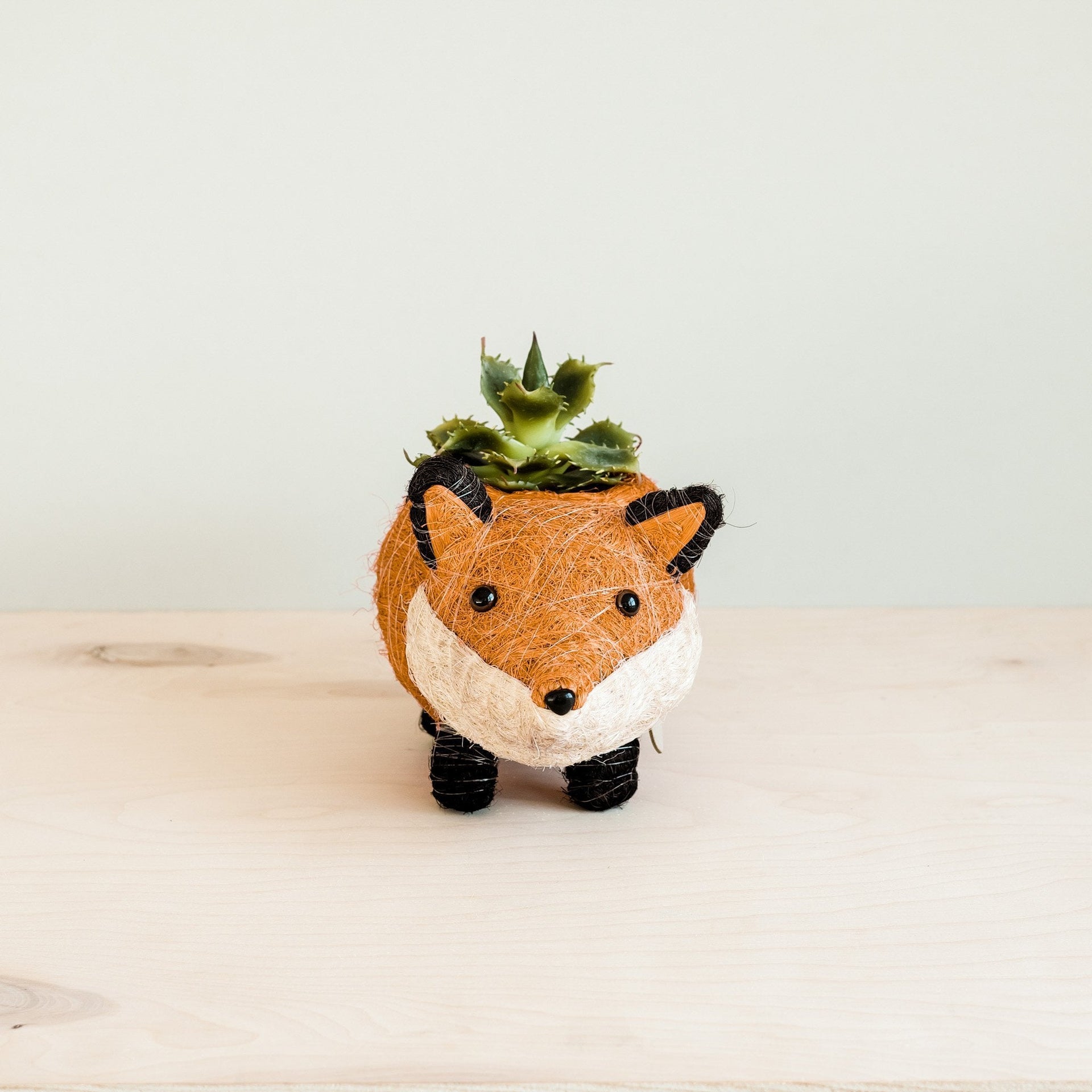 fox succulent planter Fox Planter Pot | Handmade Pot