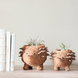 Baby hedgehog coco fiber succulent planter - Henderson Garden Supply