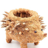 Baby hedgehog coco fiber succulent planter - Henderson Garden Supply