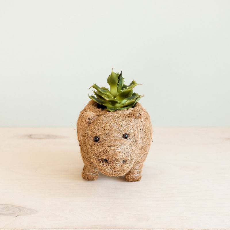 Baby Hippo Coco Fiber Planter - Henderson Garden Supply