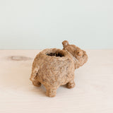 Baby Hippo Coco Fiber Planter - Henderson Garden Supply