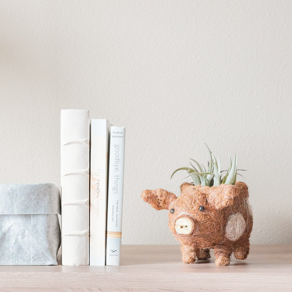 handmade succulent pots Baby Pig Succulent Pot