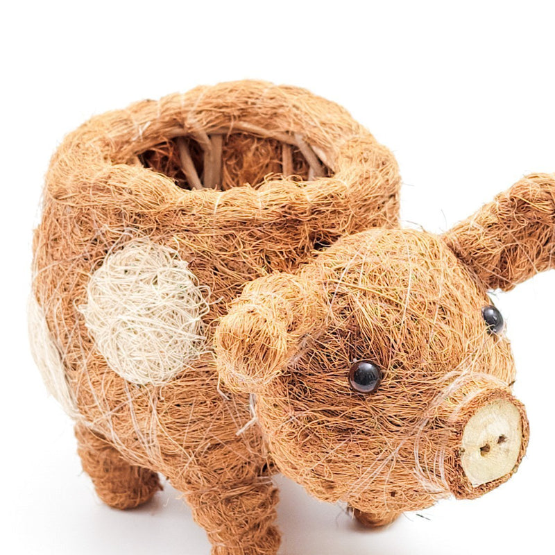 Baby Pig Succulent Pot - Handmade Planters