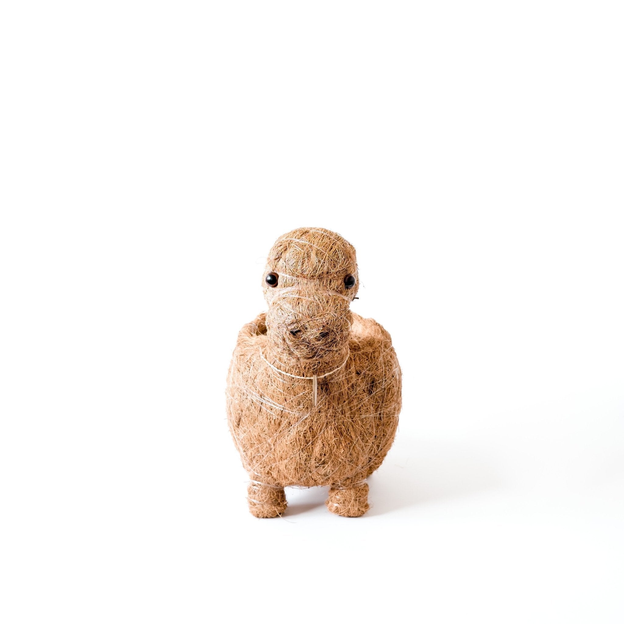 Brontosaurus Coco Fiber Planter - Henderson Garden Supply