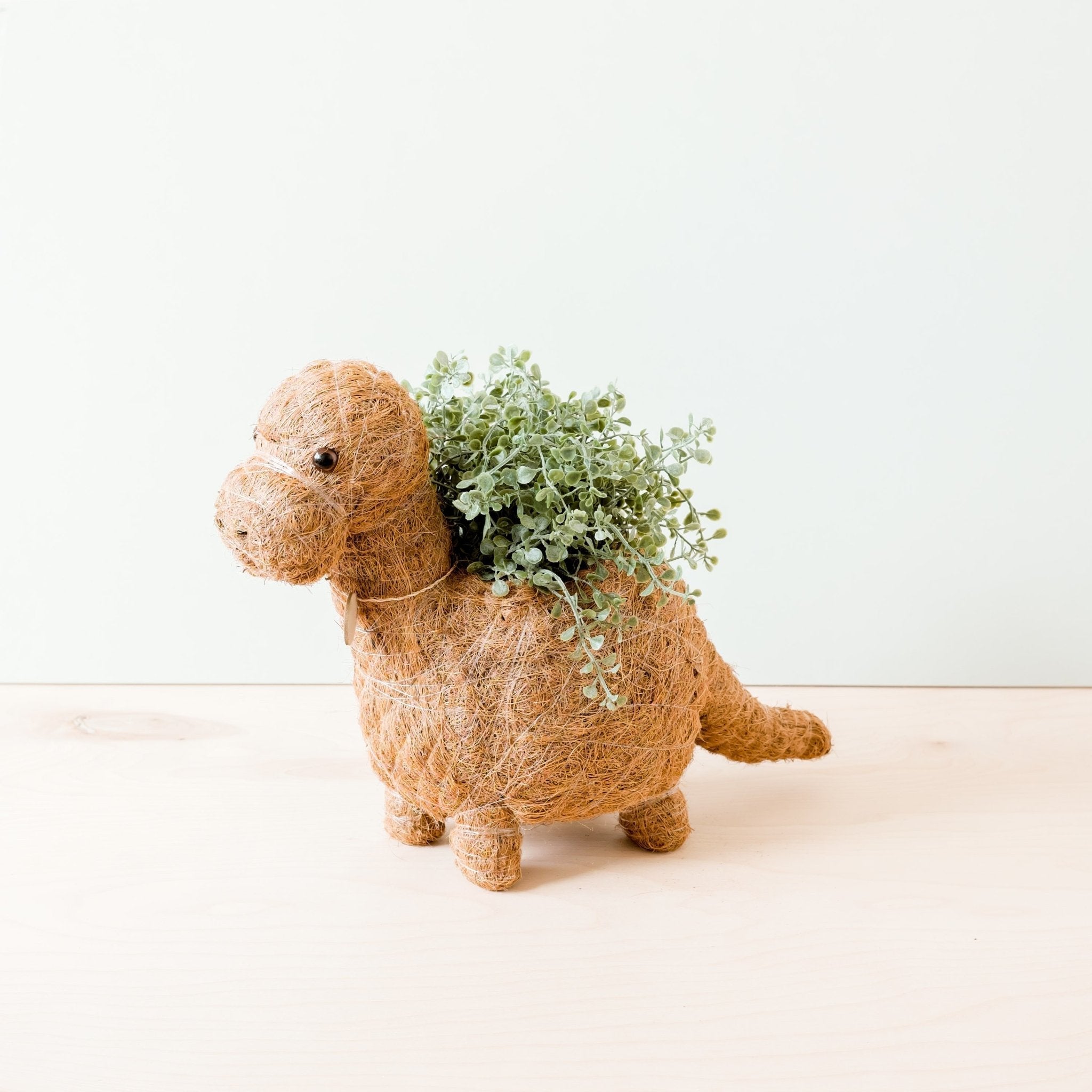 Brontosaurus Planter Coco Coir Pot