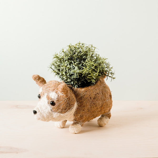 Corgi Coco Fiber Planter - Henderson Garden Supply