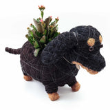 Dachshund dog coco fiber planter - Henderson Garden Supply