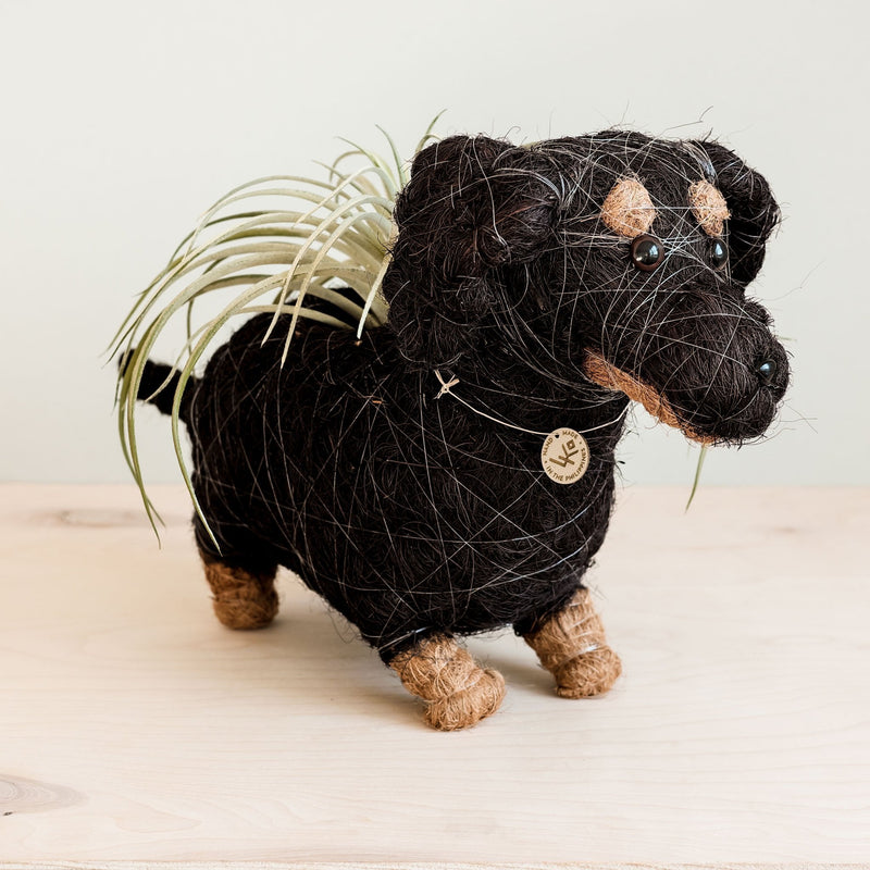 Dachshund dog coco fiber planter - Henderson Garden Supply