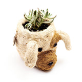 Dog Succulent planter basket - Henderson Garden Supply