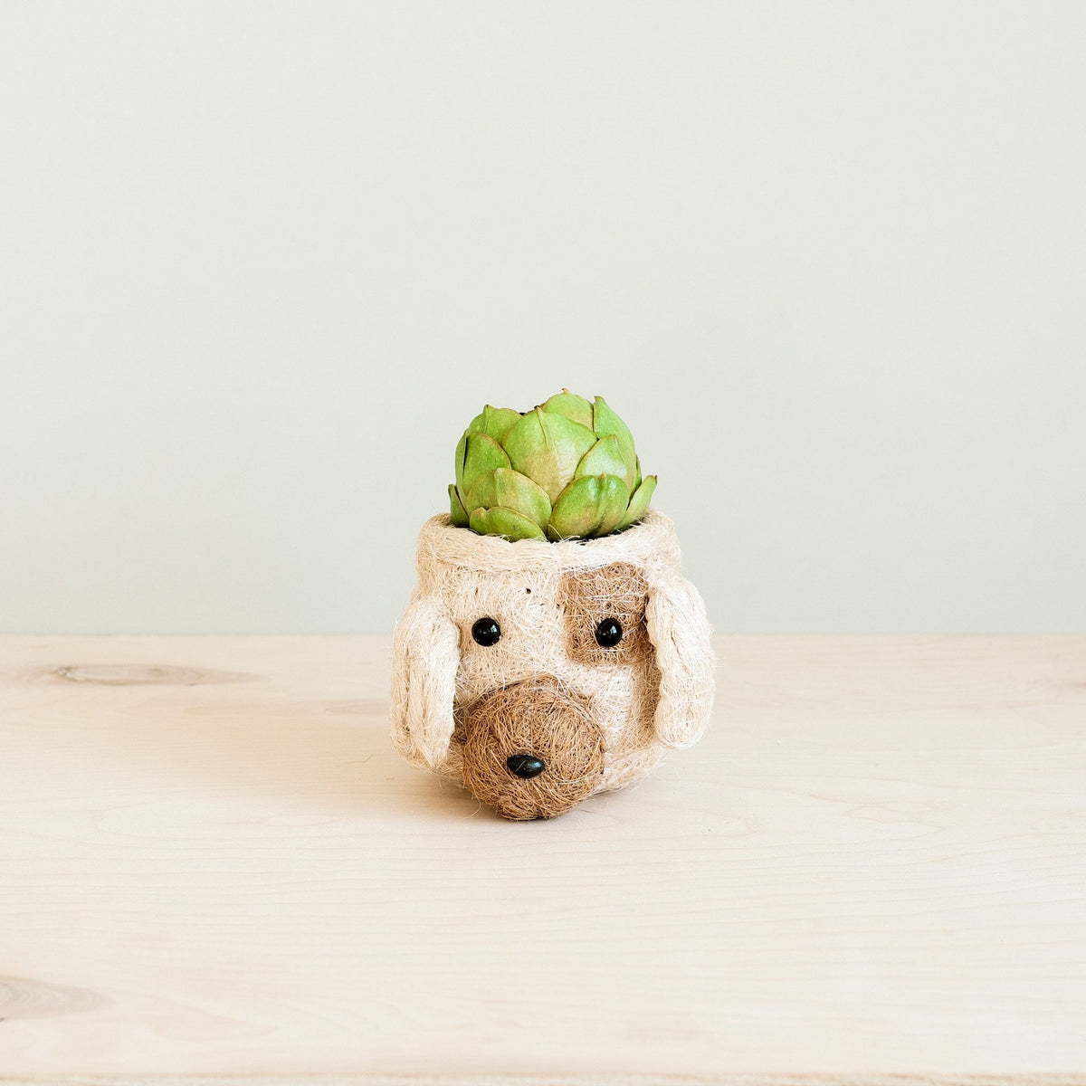 animal pots for succulents Dog Succulent Planter