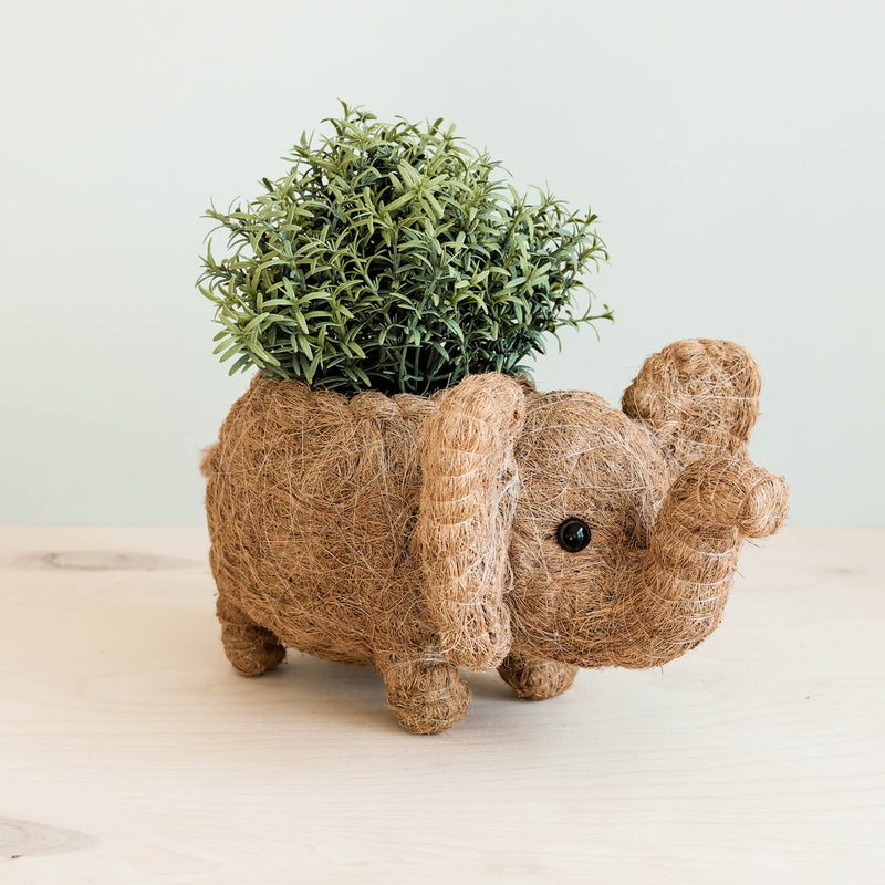 Elephant Coco Fiber Planter - Henderson Garden Supply