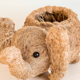 Elephant Coco Fiber Planter - Henderson Garden Supply