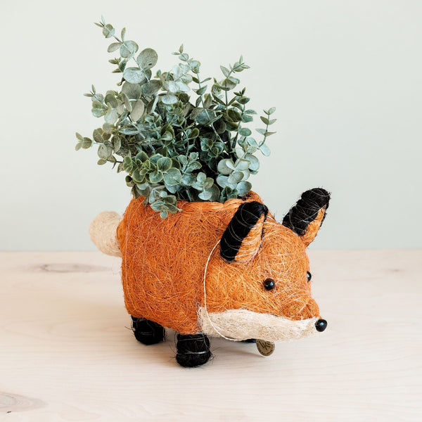 Fox Coco Fiber Planter - Henderson Garden Supply