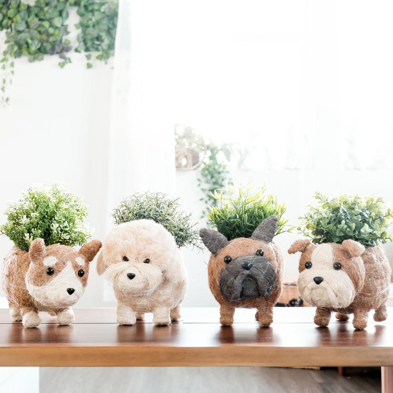 French Bulldog Coco Fiber Planter - Henderson Garden Supply