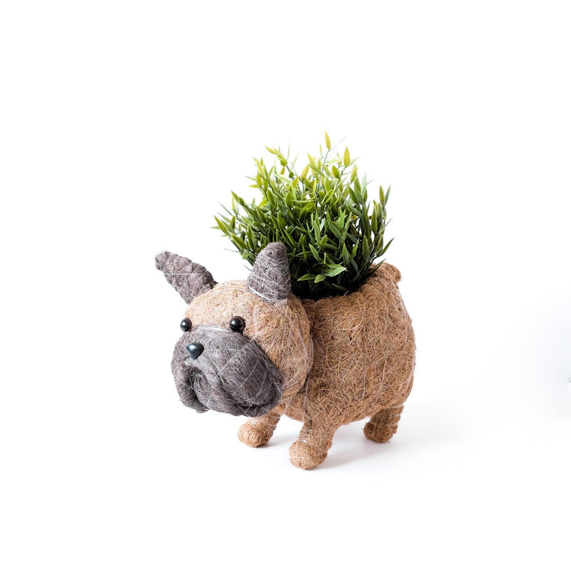 French Bulldog Coco Fiber Planter - Henderson Garden Supply