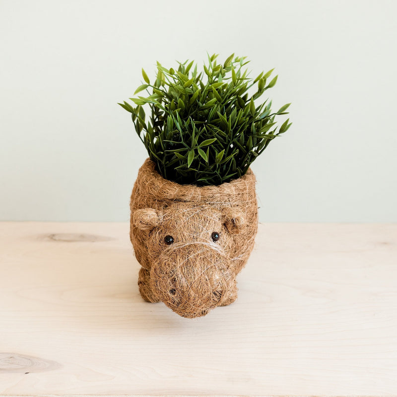 Hippo Coco Fiber Planter - Henderson Garden Supply