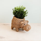 Hippo Coco Fiber Planter - Henderson Garden Supply