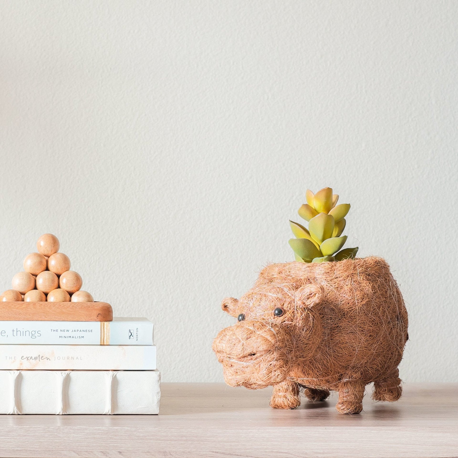 hippo succulent planter Hippo Planter - Coco Planter
