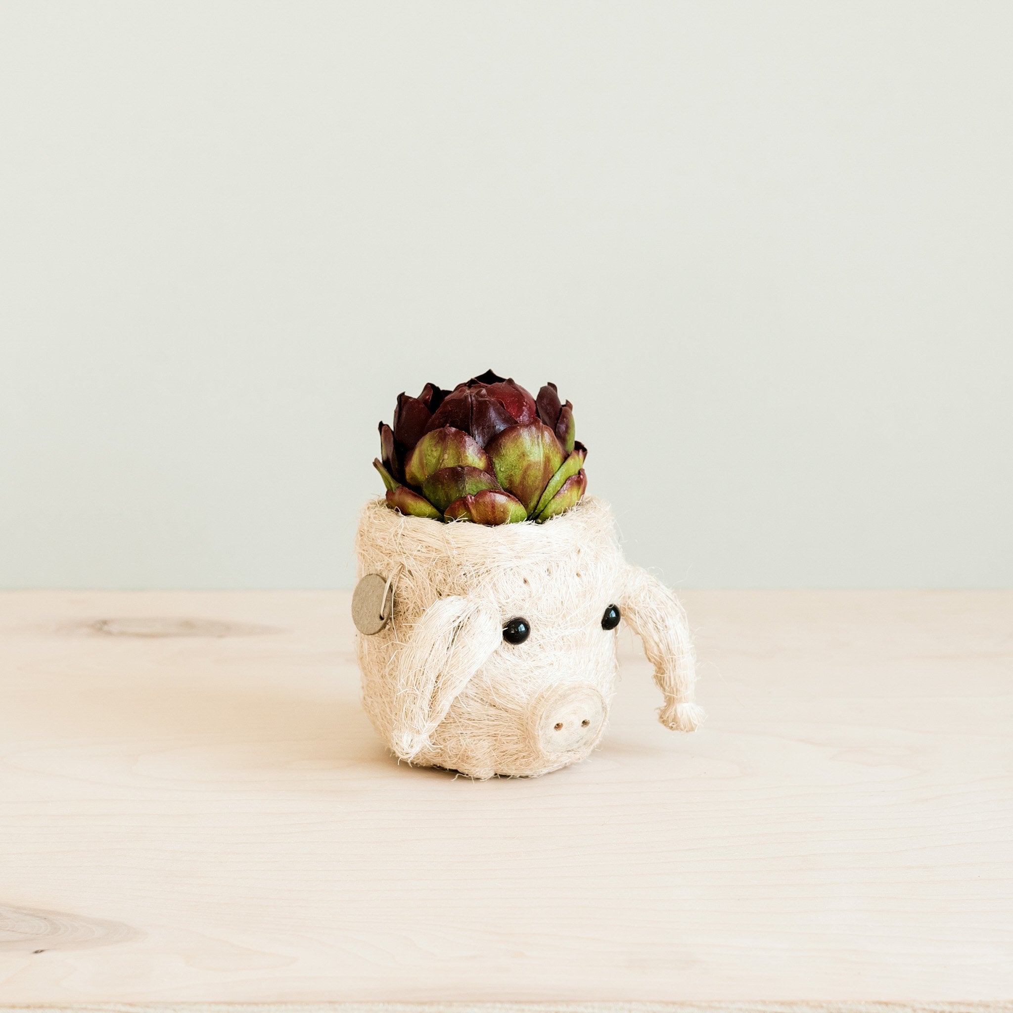 Pig coco fiber planter pot - Henderson Garden Supply