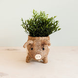 Pig coco fiber planter pot - Henderson Garden Supply