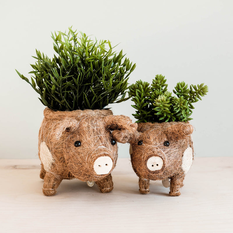 Pig coco fiber planter pot - Henderson Garden Supply