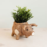 Pig coco fiber planter pot - Henderson Garden Supply