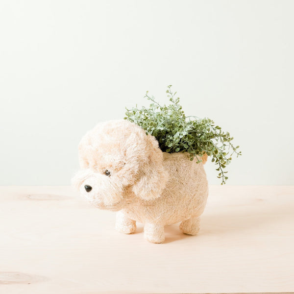 Poodle Coco Fiber Planter - Henderson Garden Supply