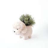 Poodle Coco Fiber Planter - Henderson Garden Supply
