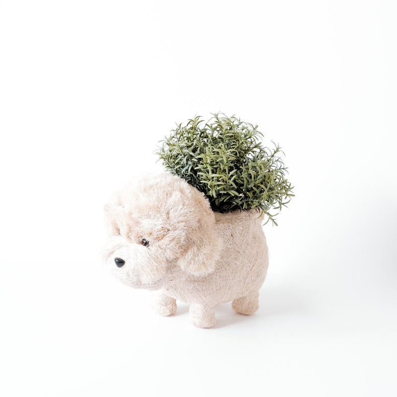 Poodle Coco Fiber Planter - Henderson Garden Supply