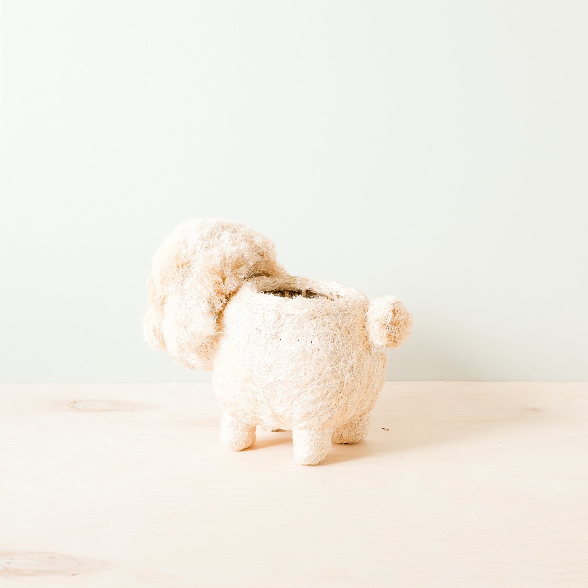 Poodle Coco Fiber Planter - Henderson Garden Supply