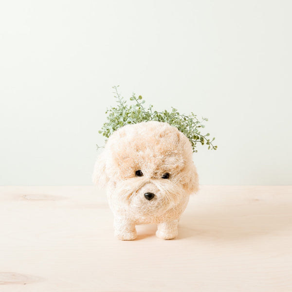 Poodle Coco Fiber Planter - Henderson Garden Supply