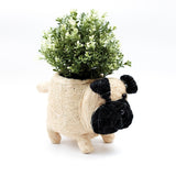 Pug Coco Fiber Planter - Henderson Garden Supply