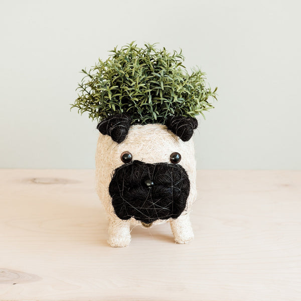 Pug Coco Fiber Planter - Henderson Garden Supply