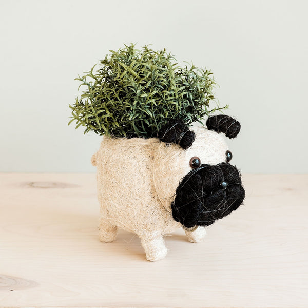 Pug Coco Fiber Planter - Henderson Garden Supply