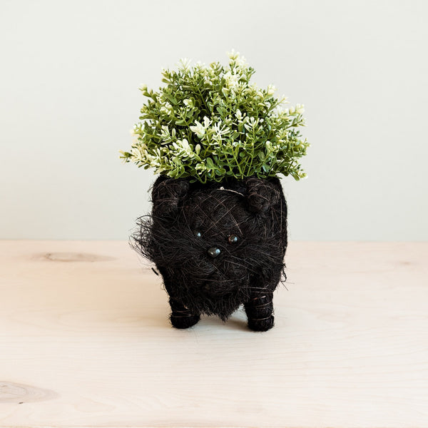 Schnauzer Coco Fiber Planter - Henderson Garden Supply