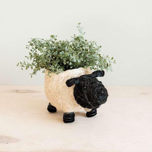 Sheep coco fiber planter pot - Henderson Garden Supply