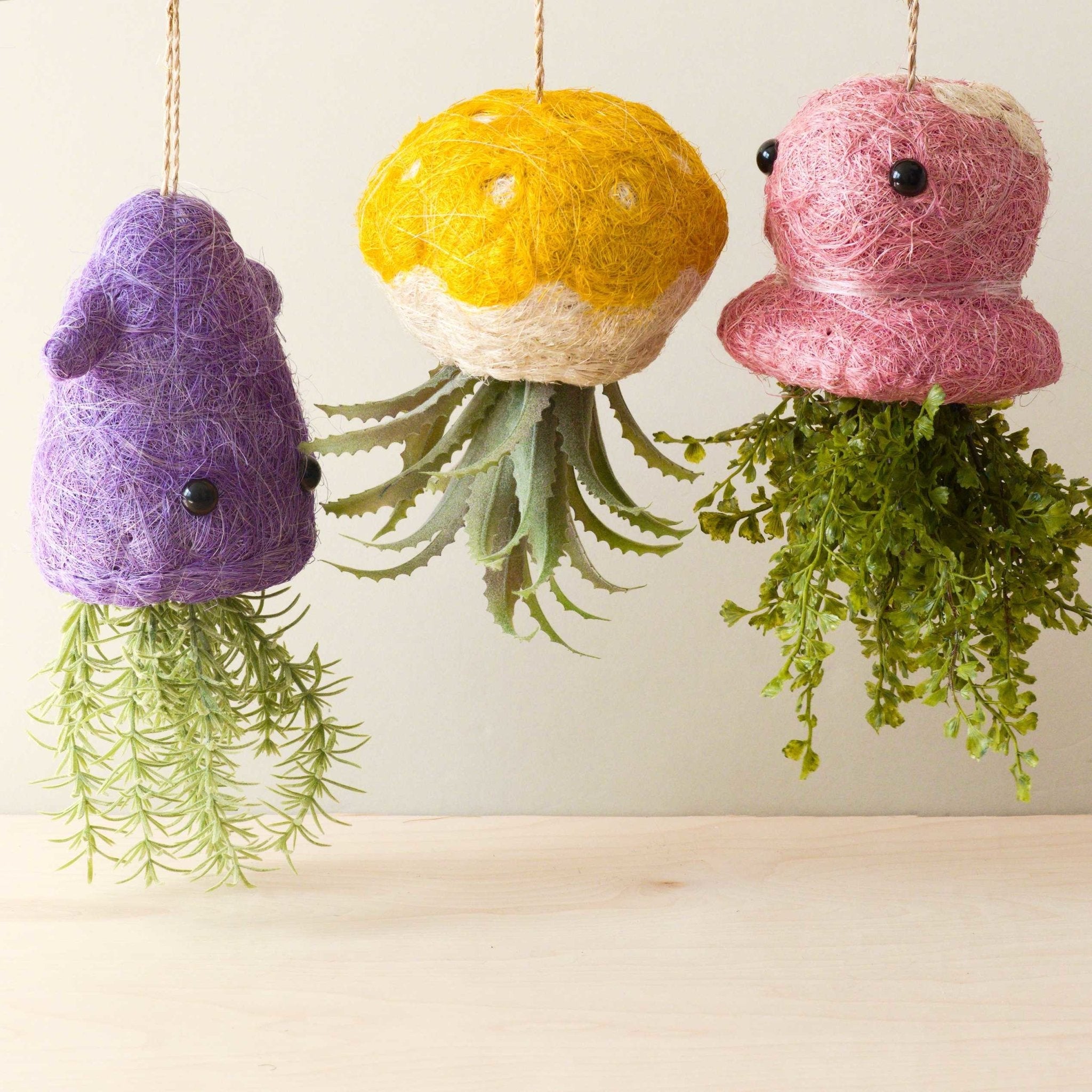 Squid Hanging Planter for Air Plants - Henderson Garden Supply