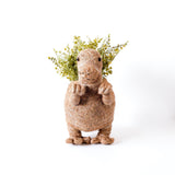 T-Rex Coco Fiber Planter - Henderson Garden Supply